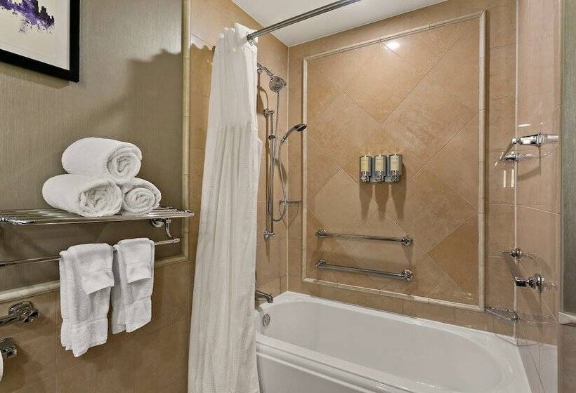 身障者適用ダブルベッド付きスタンダードルーム, The Royal Sonesta Harbor Court Baltimore