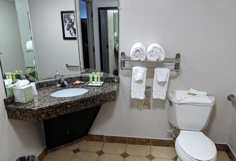 Люкс, Wyndham Garden Charlotte Airport Southeast