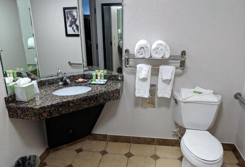 Номер Стандарт, Wyndham Garden Charlotte Airport Southeast