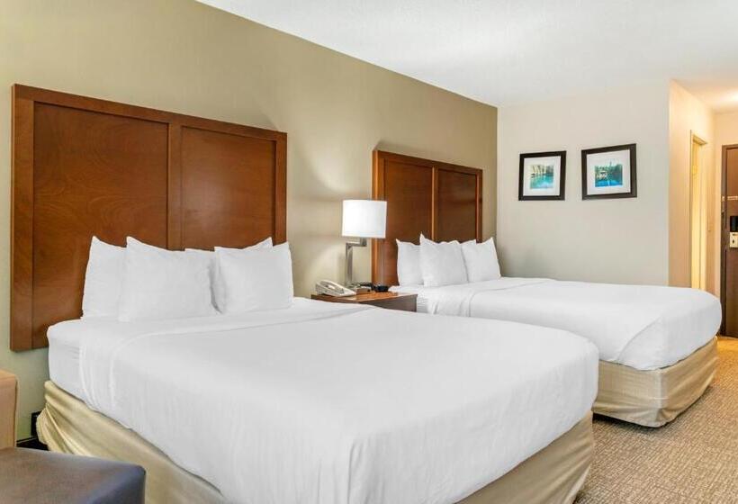 스탠다드 룸, Comfort Inn