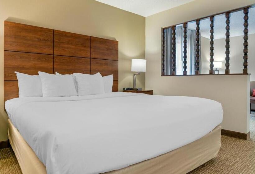 스위트 킹사이즈 침대, Comfort Inn