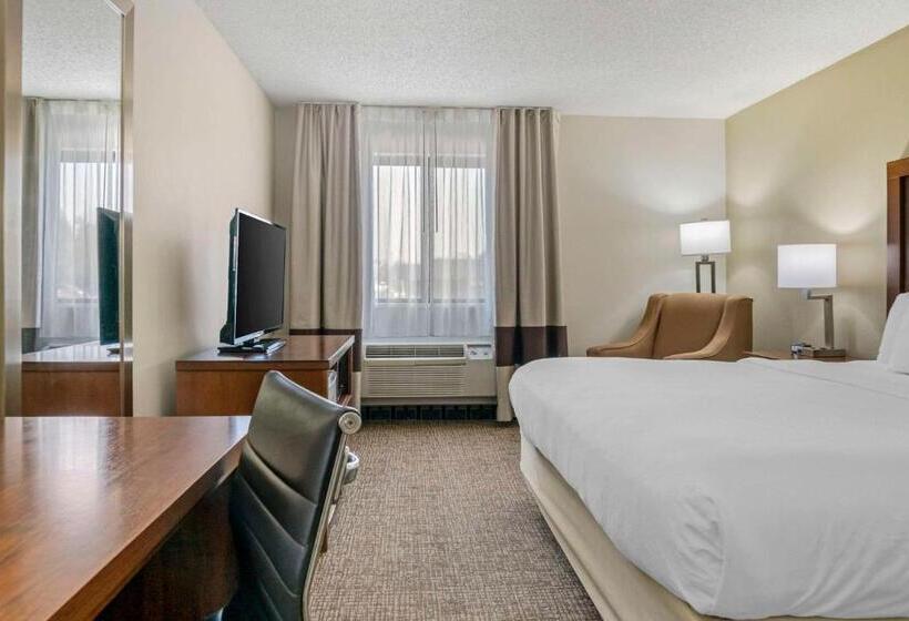 장애인을 위한 킹사이즈 침대 스탠다드 룸, Comfort Inn