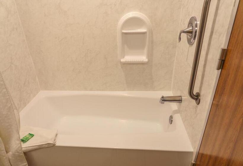 스탠다드 룸 킹사이즈 침대, Holiday Inn New Orleans Downtown Superdome, An Ihg