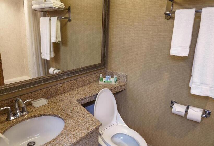 行政房间, Holiday Inn New Orleans Downtown Superdome, An Ihg