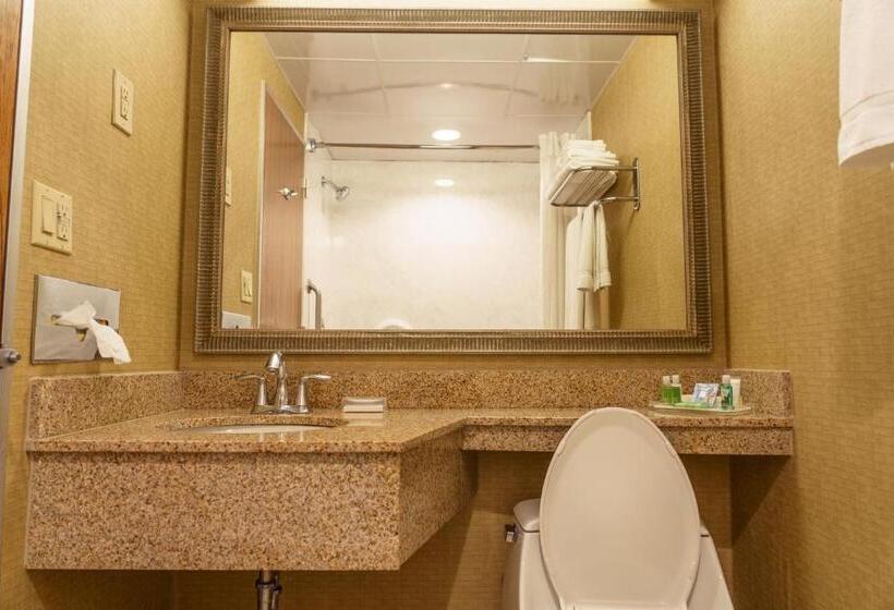 이그제큐티브 룸, Holiday Inn New Orleans Downtown Superdome, An Ihg