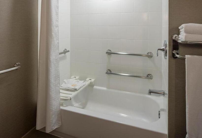 장애인용 디럭스룸, Holiday Inn New Orleans Downtown Superdome, An Ihg