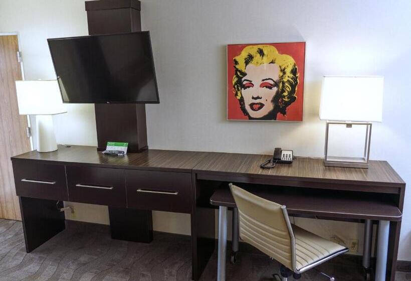 장애인을 위한 킹사이즈 침대 스탠다드 룸, Holiday Inn New Orleans Downtown Superdome, An Ihg