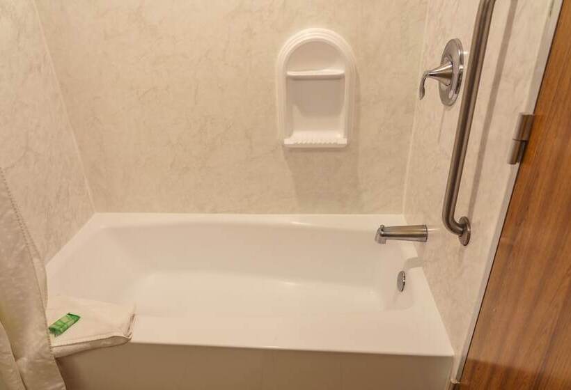 标准间, Holiday Inn New Orleans Downtown Superdome, An Ihg