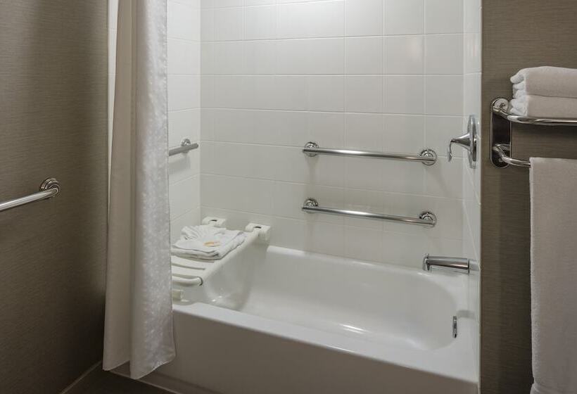 스탠다드 룸, Holiday Inn New Orleans Downtown Superdome, An Ihg