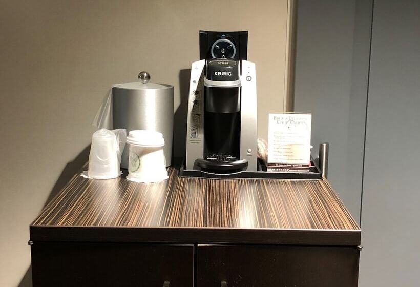스탠다드 룸, Holiday Inn New Orleans Downtown Superdome, An Ihg