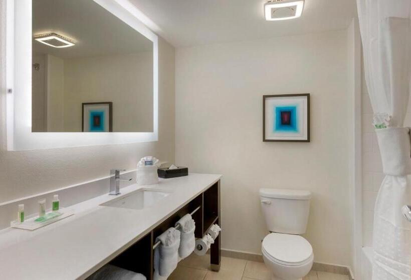 Стандартный Номер Кровать Кинг, Delta Hotels By Marriott West Palm Beach