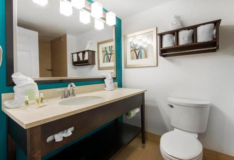 Стандартный Номер Кровать Кинг, Delta Hotels By Marriott West Palm Beach
