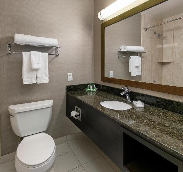 장애인을 위한 킹사이즈 침대 스탠다드 룸, Holiday Inn West Covina, An Ihg