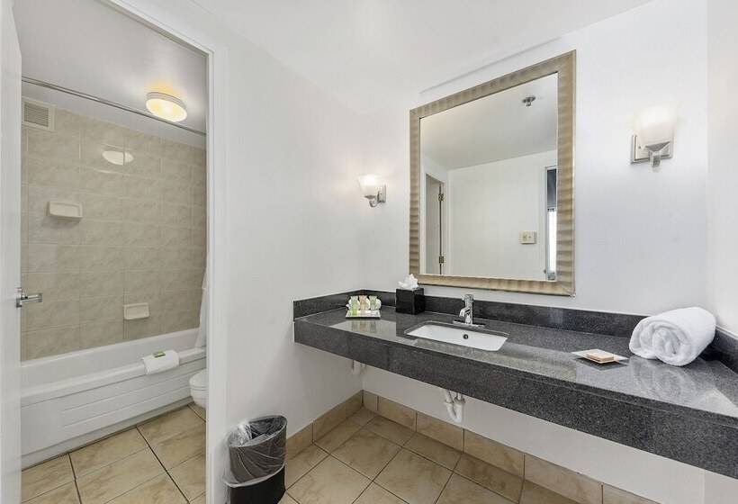Президентский Люкс, Wyndham Garden Norfolk Downtown