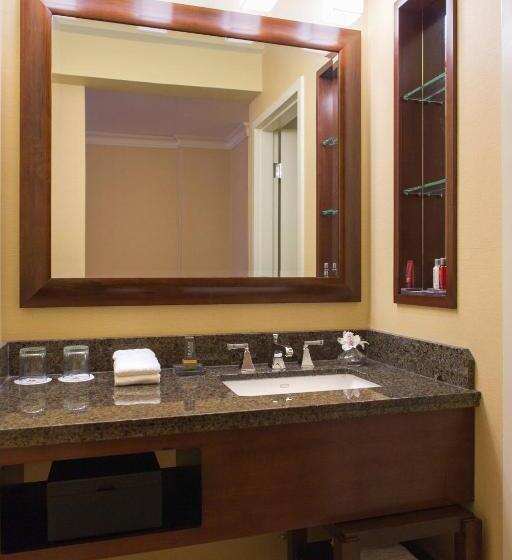 Номер Deluxe Адаптированный для Инвалидов, Chicago Marriott Oak Brook