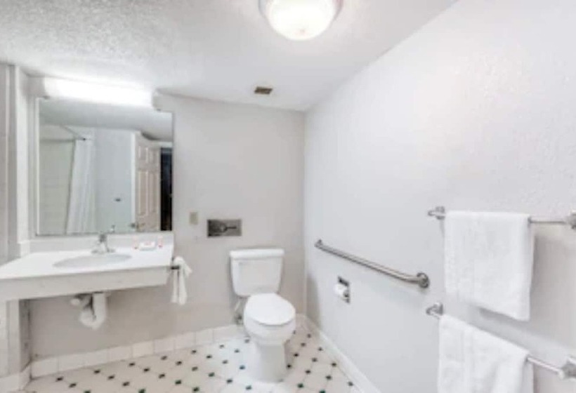 Номер Стандарт 2 Двуспальные Кровати, Quality Inn Nacogdoches Near University