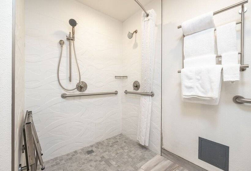 Standard Værelse Tilpasset til Handicappede, Soma Park Inn