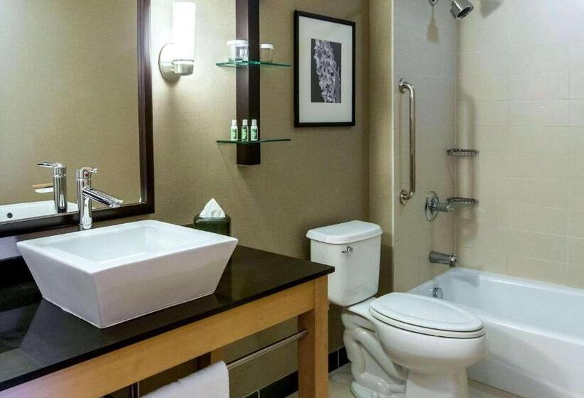 Люкс Адаптированный для Инвалидов, Cambria Hotel Rapid City Near Mount Rushmore