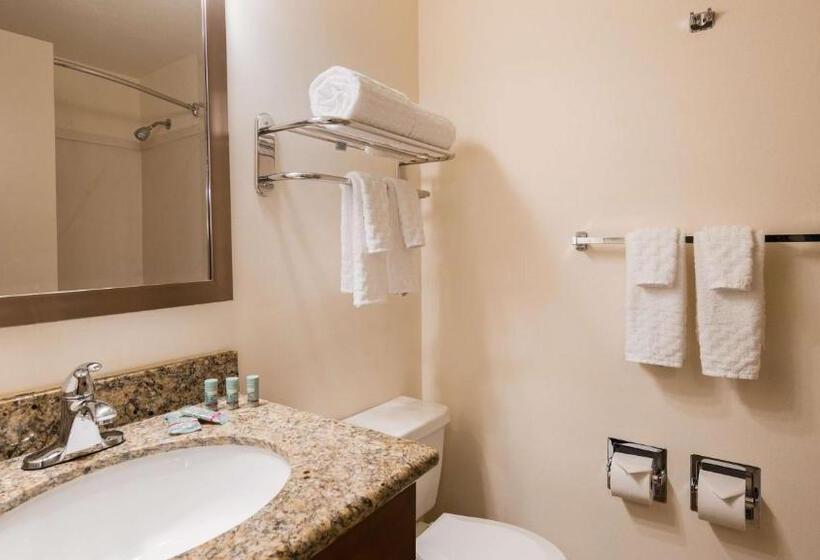 Номер Стандарт Адаптированный для Инвалидов, Best Western Cascadia Inn