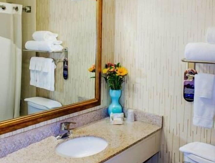 标准间, Holiday Inn South Kingstown Newport Area, An Ihg
