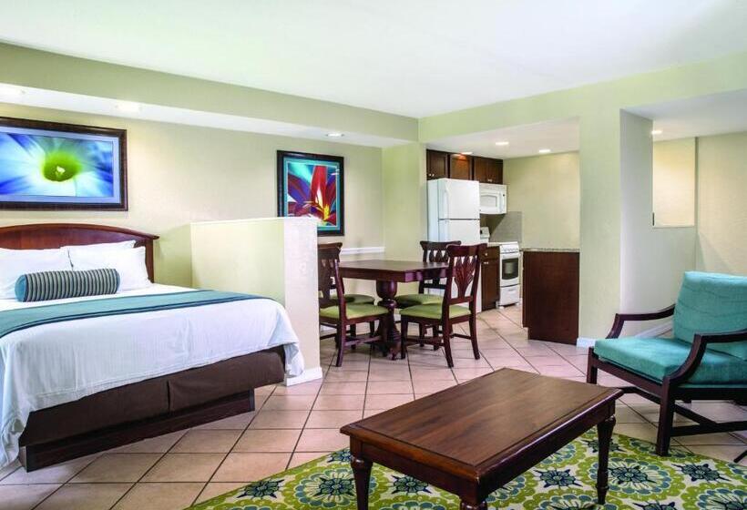 Студия Стандарт, Club Wyndham Palm Aire