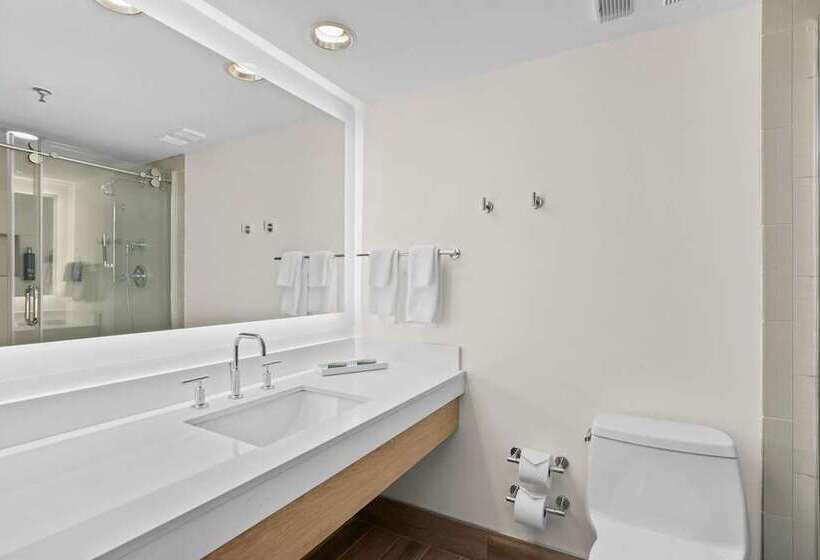 Camera Standard Letto King, Hilton Sandestin Beach Golf Resort & Spa