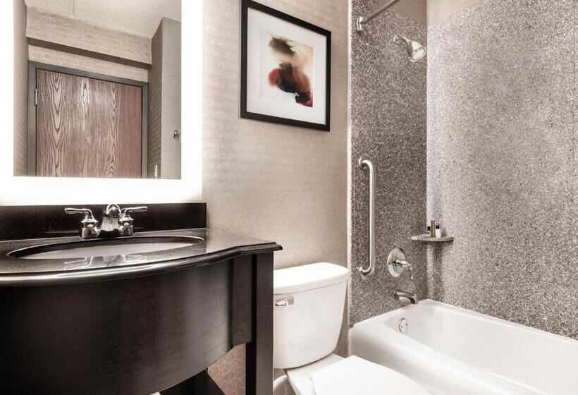 스탠다드 룸 킹사이즈 침대, Crowne Plaza Milwaukee South, An Ihg