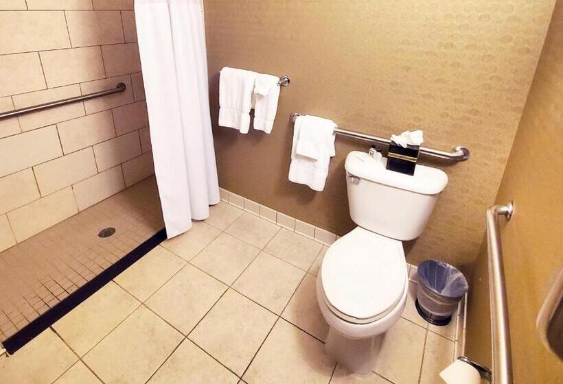 장애인을 위한 킹사이즈 침대 스탠다드 룸, Crowne Plaza Milwaukee South, An Ihg