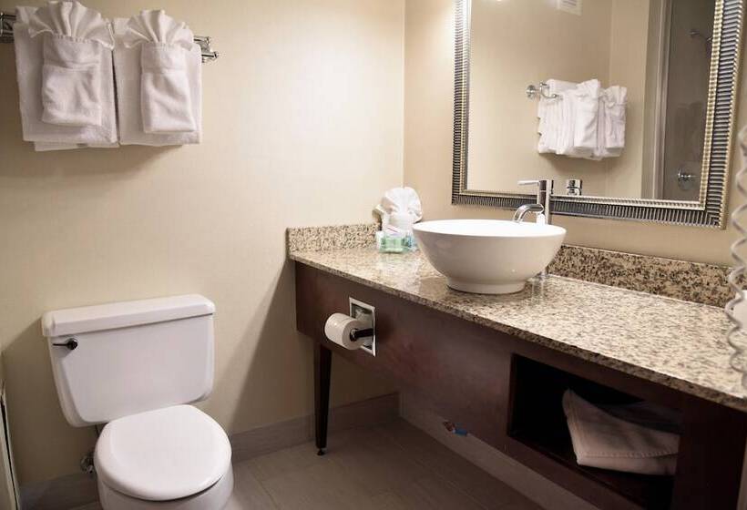 Номер Стандарт 2 Двуспальные Кровати, Holiday Inn Akron West, An Ihg