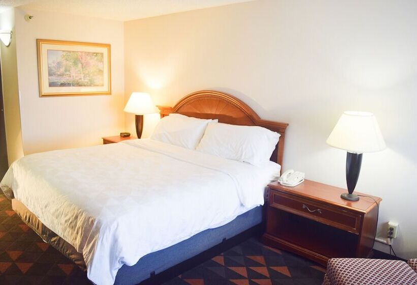 Номер Стандарт, Holiday Inn Great Falls Convention Center, An Ihg
