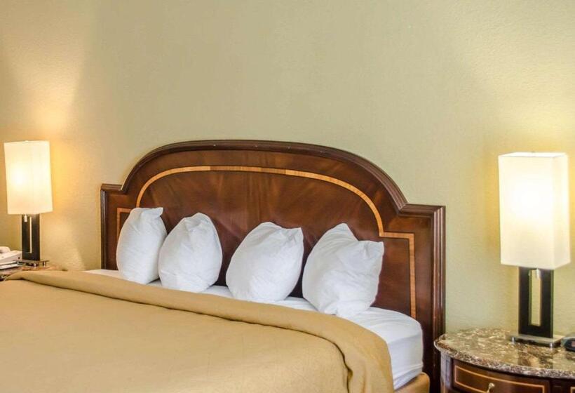 Стандартный Номер Кровать Кинг, Quality Inn & Suites Pensacola Bayview