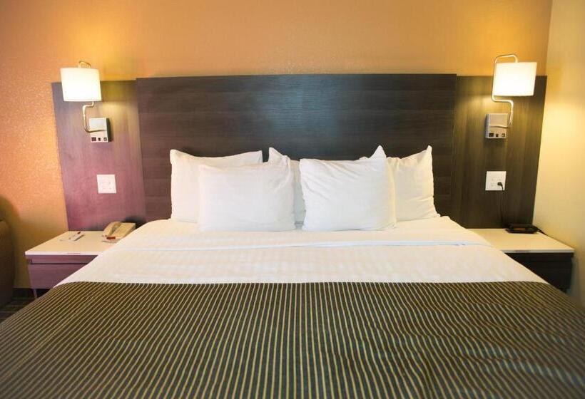 带大床的标准间, Ramada By Wyndham Flagstaff East