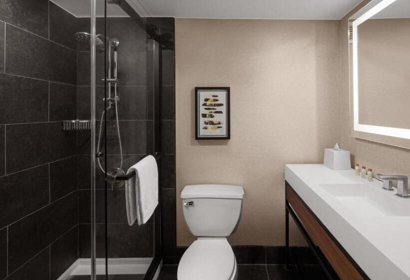Номер Стандарт Адаптированный для Инвалидов, Renaissance Chicago North Shore