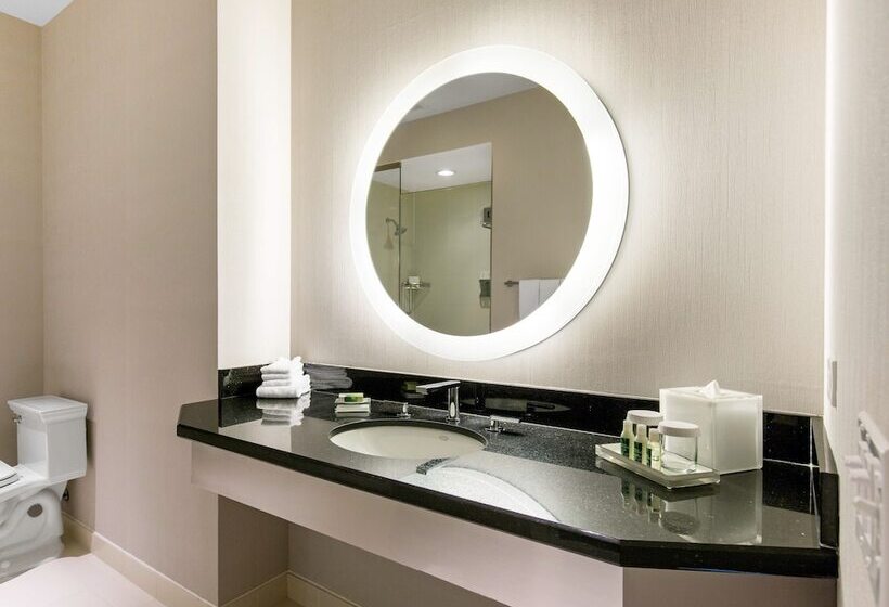 Deluxe Room Adapted for Disabled, The Chicago Hotel Collection Magnificent Mile