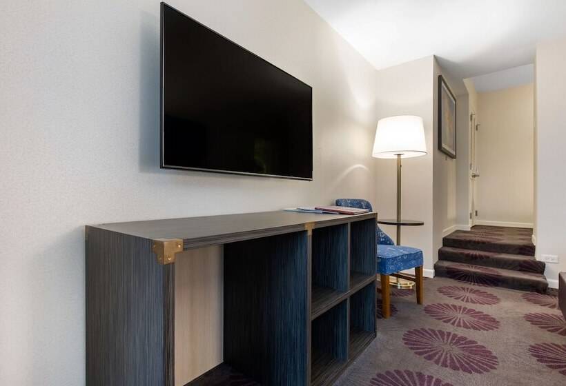 Deluxe Room Adapted for Disabled, The Chicago Hotel Collection Magnificent Mile