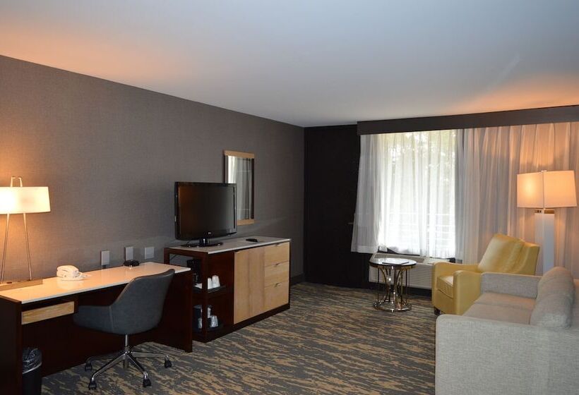 디럭스 스위트, Wyndham Lancaster Resort And Convention Center