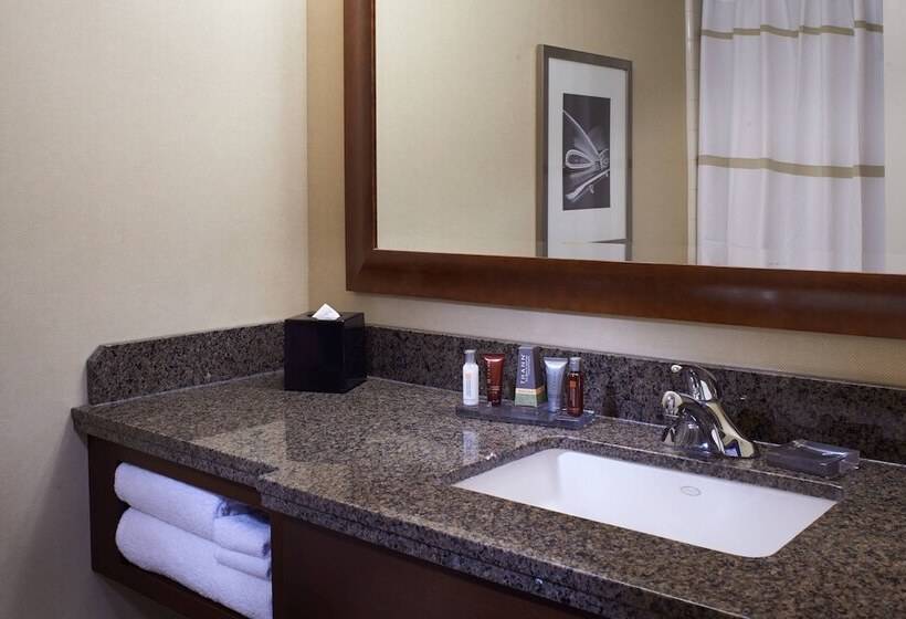 스탠다드 룸 더블 침대, Detroit Marriott At The Renaissance Center