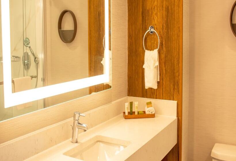 Номер Стандарт 2 Двуспальные Кровати, Hilton Hasbrouck Heights/meadowlands