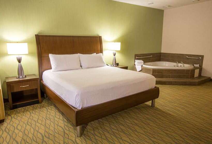 Стандартный Номер Кровать Кинг, Hilton Hasbrouck Heights/meadowlands