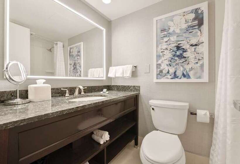 带大床的标准间, Hilton Parsippany