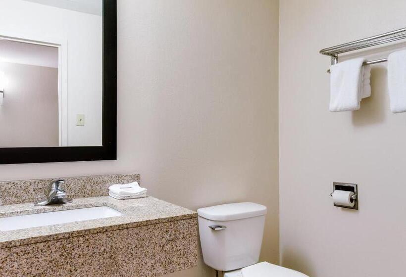 스탠다드 룸, Red Roof Inn York Downtown