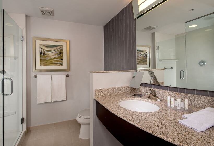 Номер Стандарт 2 Двуспальные Кровати, Courtyard By Marriott Lansing
