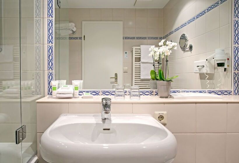 Номер Стандарт Индивидуальный, Dorint Parkhotel Meißen