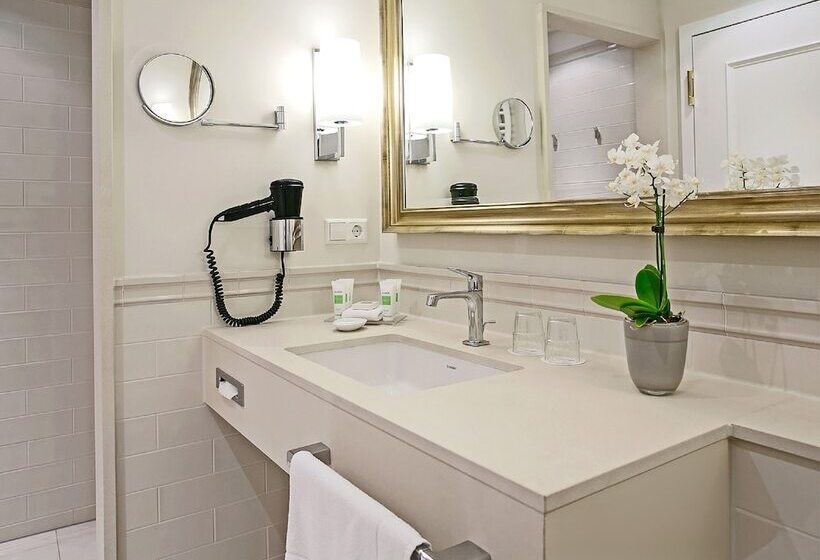 Номер Deluxe Одноместный, Dorint Parkhotel Meißen
