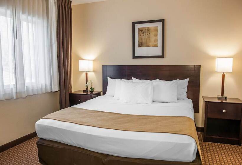 스위트, Comfort Suites