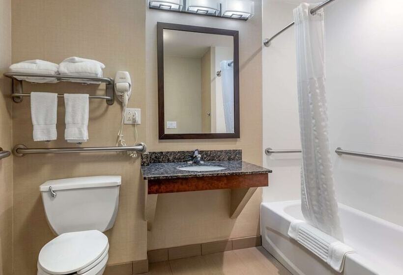 장애인을 위한 스위트, Comfort Suites