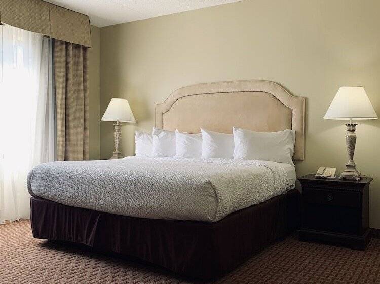 スイート, Eurosuites