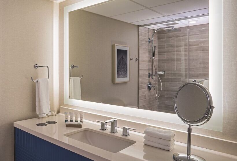 Классический Номер, The Westin Oaks Houston At The Galleria