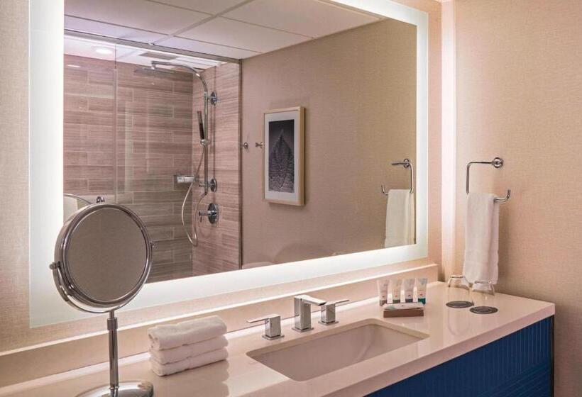 Номер Deluxe, The Westin Oaks Houston At The Galleria