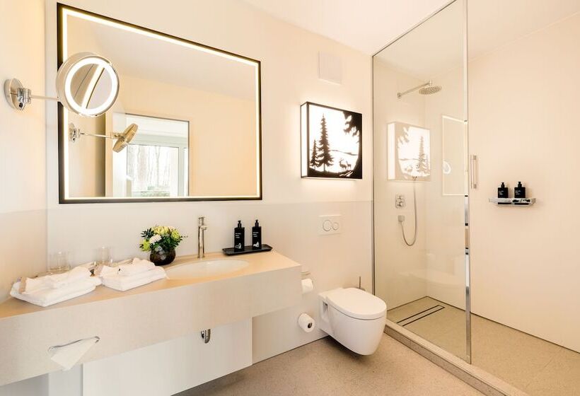 Номер Стандарт, Parkhotel Rothof